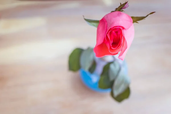 Soft focus of pink rose in the vase on the table.