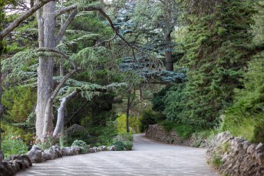 Muhteşem yaz bitkileri bilinmeyene doğru yol alıyor.