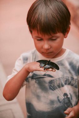 Çocuk çok güzel bir kelebekle oynuyor..