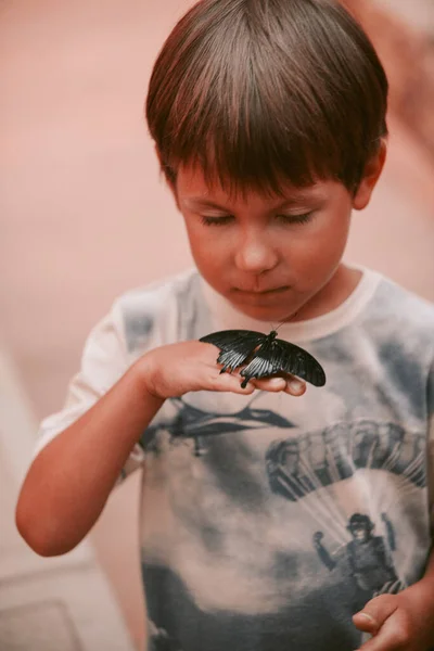 Criança brincando com uma borboleta tão bonita. — Fotografia de Stock