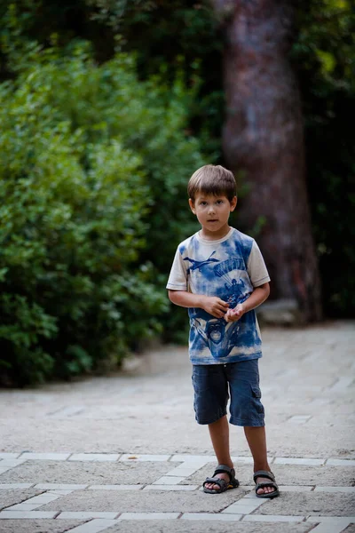 O rapaz quer mostrar-nos algo na floresta. — Fotografia de Stock