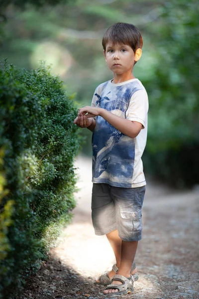 Uma criança pega bagas de um arbusto. Foco seletivo. — Fotografia de Stock