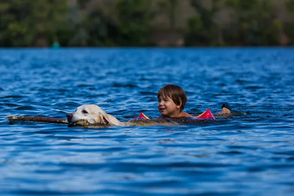 Junge und sein Haustier Labrador — Stockfoto