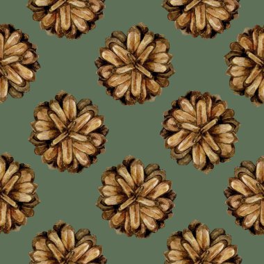 Çam kozalaklarıyla kusursuz desen. Suluboya çizimi beyaz arkaplanda izole edildi.