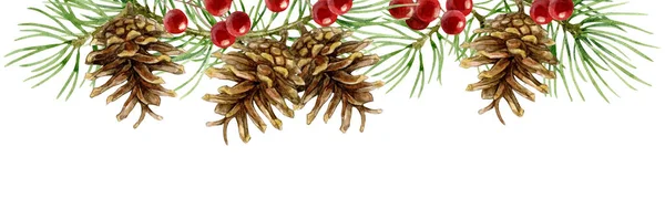 トウヒの枝、コーン、赤い果実のクリスマスバナー。白を基調とした水彩画. — ストック写真