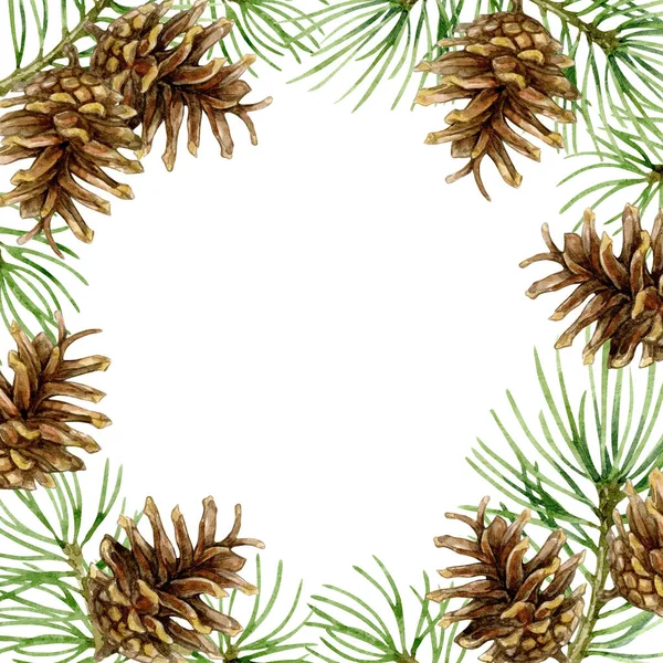 Ağaç dalları ve kozalaklı Noel çerçevesi. Suluboya çizimi beyaz arkaplanda izole edildi. — Stok fotoğraf