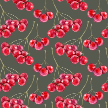 Kırmızı böğürtlenli kusursuz desen. Parlak el çizimi çizimleri koleksiyonu. Paket kağıtlarında, tekstil ürünlerinde, tebrik kartlarında kullanılabilir.