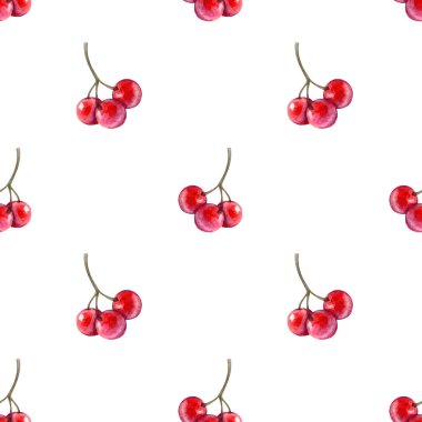 Beyaz arka planda izole edilmiş kırmızı yaban mersinli kusursuz desen.