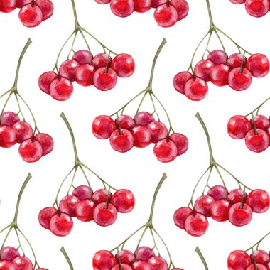 Beyaz arka planda izole edilmiş kırmızı yaban mersinli kusursuz desen.