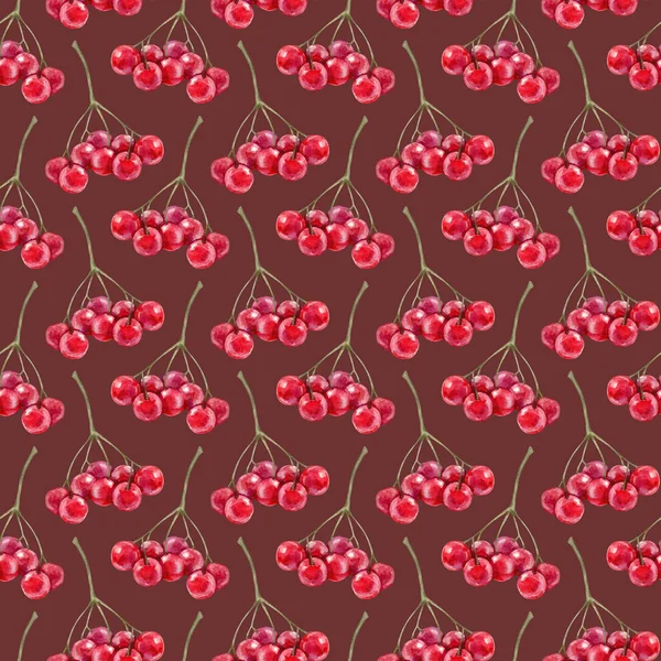 붉은 장미 열매가 달린 밝은 솔기없는 무늬. — 스톡 사진