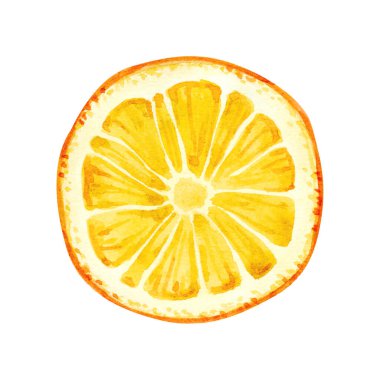 Beyaz arka planda izole edilmiş olgun limonun suluboya çizimi. El çizimi resimlerin parlak meyve koleksiyonu.