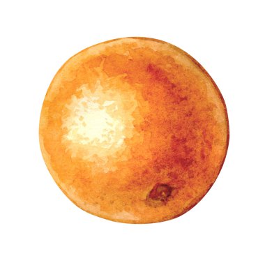 Beyaz arka planda olgun portakalın suluboya çizimi. El çizimi resimlerin parlak meyve koleksiyonu. Ambalaj kağıdı, tekstil ve menülerde kullanılabilir..