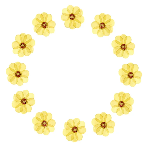 Υδατογραφία πλαίσιο με κίτρινα λουλούδια απομονώνονται σε λευκό φόντο. — Φωτογραφία Αρχείου