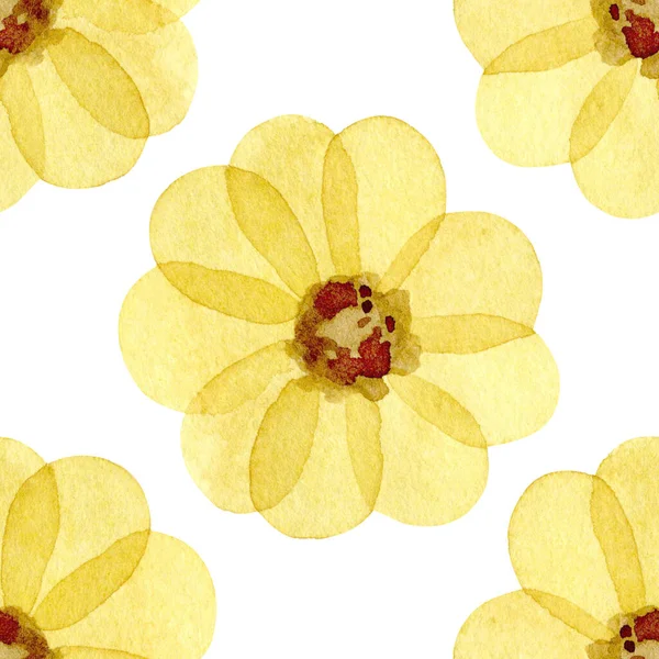 Patrón de acuarela con flores amarillas aisladas sobre fondo blanco. —  Fotos de Stock