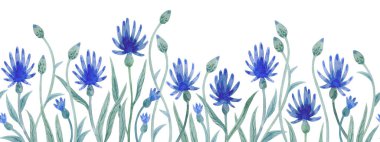 Watercolor seamless border with blue flowers isolated on white background.