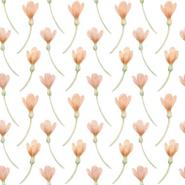 Beyaz arka planda izole edilmiş pembe timsahlı suluboya deseni. Yumuşak bahar el çizimleri koleksiyonu. Paket kağıtlarında, tekstil ürünlerinde, tebrik kartlarında kullanılabilir.