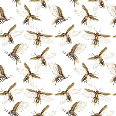 Beyaz arka planda ateş böcekleri olan klasik suluboya desenli. El çizimi çizimleri koleksiyonu. Kartlarda, posterlerde, ambalaj kağıtlarında kullanılabilir..