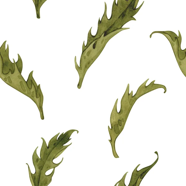 Vintage Aquarellmuster mit grünen Blättern. Wilde Blumen handgezeichnete Illustration. Wiesenkräuter auf weißem Hintergrund. lizenzfreie Stockfotos
