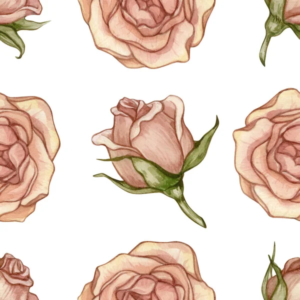 Akvarel bezešvný vzor s vinobraní růžové růže izolované na bílém pozadí. — Stock fotografie