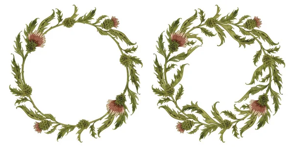 Set Von Vintage Aquarell Botanischen Rahmen Mit Distel Wildblumen Handgezeichnete lizenzfreie Stockbilder