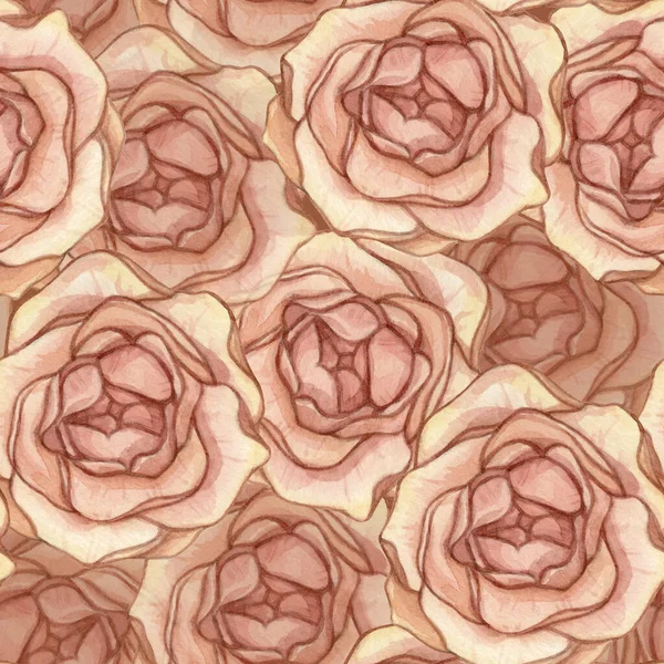 Watercolor Seamless Pattern Vintage Pink Roses Graceful Spring Collection Can — Stock Photo, Image