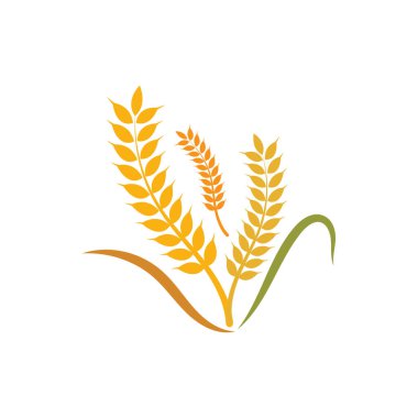Tarım buğday logosu veya sembol tasarımı illüstrasyonu