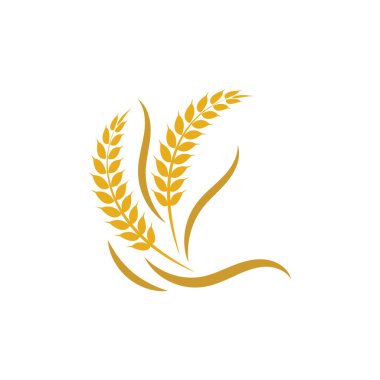 Tarım buğday logosu veya sembol tasarımı illüstrasyonu