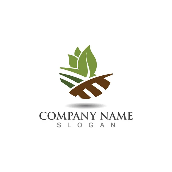 Agricultura Ecologia Verde Natureza Logotipo Design Modelo Ícone Agricultura —  Vetores de Stock