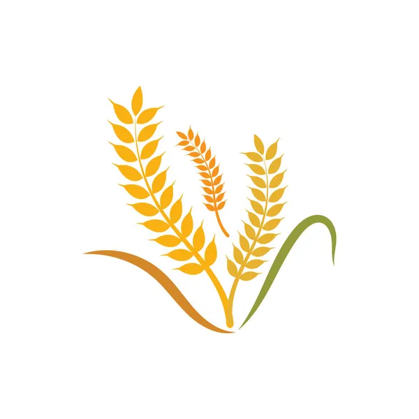 Иллюстрация Логотипа Символа Сельскохозяйственной Пшеницы — стоковый вектор