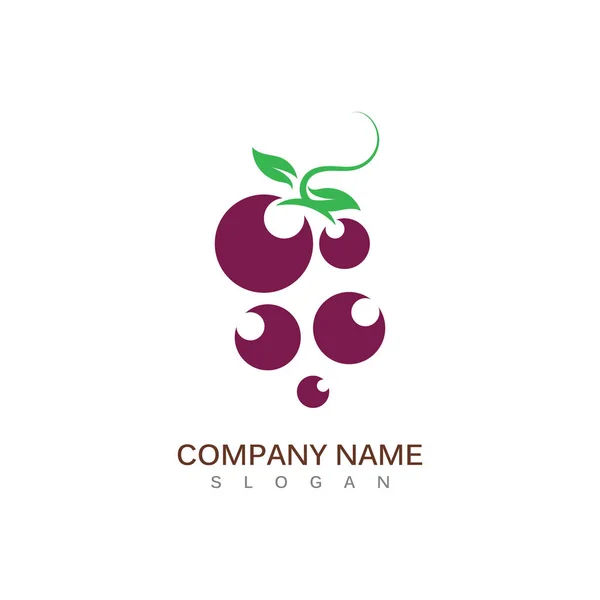 Diseño Ilustración Icono Plantilla Vector Plano Logo Fruta Uva — Vector de stock