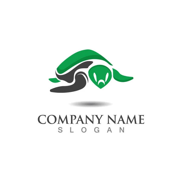 Turtle Sea Logo Image Design Template Animal Vector — Stock Vector
