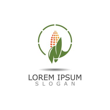 Mısır basit logo tasarımı tarım tarımı vektör şablonu