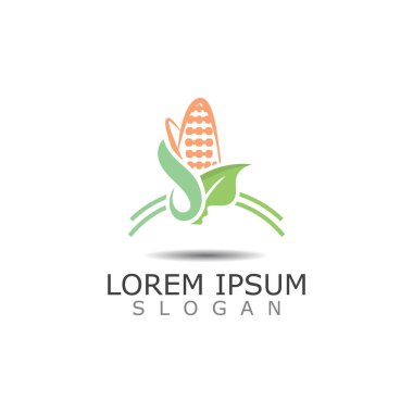 Mısır Logosu tasarımı, tema, tarım şablonu doğa çizimi 