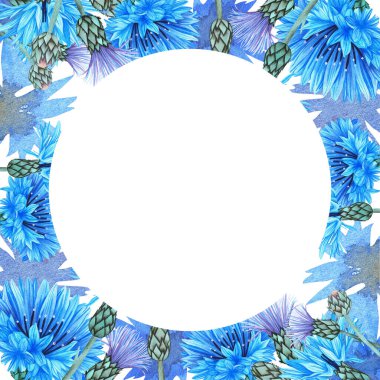 Çiçek. Suluboya botanik illüstrasyon. Beyaz arkaplandaki izole görüntü. Tasarımın için..