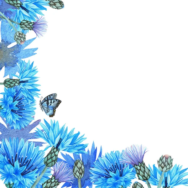 Кукурудзяні Квіти Порожня Листівка Привітання Акварельні Ботанічні Ілюстрації Включені Колекцію — стокове фото