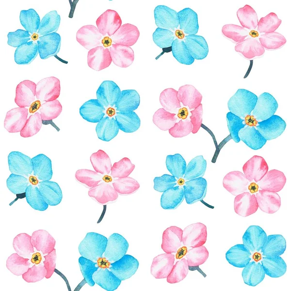 Blue Pink Forget Pattern Watercolor Botanical Illustration Included Collection Wildflowers — Stock Photo, Image