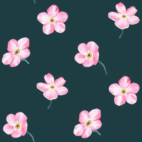 Roze Vergeet Mij Niet Patroon Aquarel Botanische Illustratie Opgenomen Collectie — Stockfoto