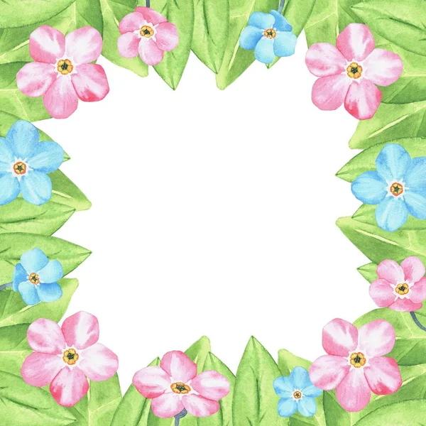 Unutulmayan şeylerden yapılmış bir çerçeve. Vahşi çiçek koleksiyonuna suluboya botanik illüstrasyon da dahil. Beyaz arkaplandaki izole görüntü. Kumaş tasarımınız için, tebrik kartları, hediye paketleri, kırtasiyeler, aksesuarlar..