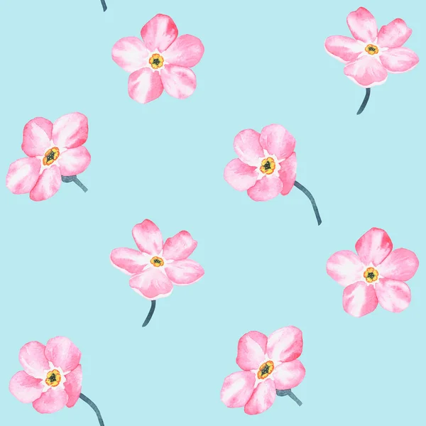 Розовый Забывчивый Шаблон Акварельная Ботаническая Иллюстрация Включена Коллекцию Полевых Цветов — стоковое фото