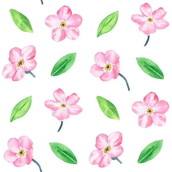 Pink Forget Pattern Watercolor Botanical Illustration Included Collection Wildflowers Isolated — Stock Photo, Image