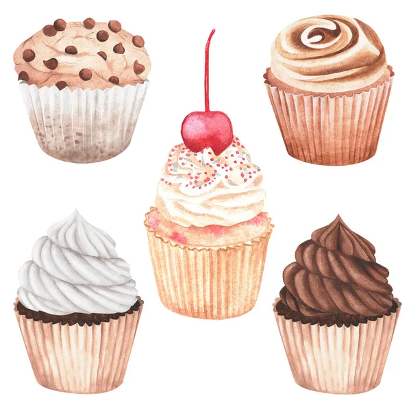 Cupcakes. Watercolor vintage illustration. Isolated on a white background. For your design. Suitable for the design of postcards, wedding invitations, stickers and so on.