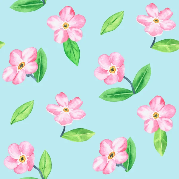 Pink Forget Pattern Watercolor Botanical Illustration Included Collection Wildflowers Isolated — Stock Photo, Image