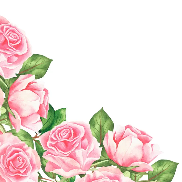 Rosas Cor Rosa Banner Vintage Aquarela Isolado Sobre Fundo Branco — Fotografia de Stock