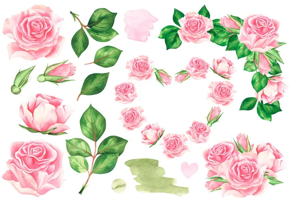 Rosas Cor Rosa Watercolor Ilustração Vintage Isolado Sobre Fundo Branco — Fotografia de Stock