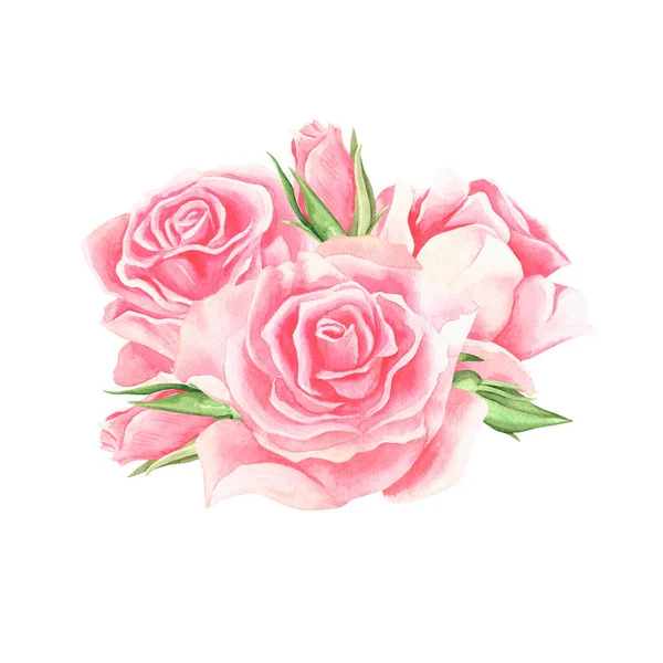 Rosas Cor Rosa Watercolor Ilustração Vintage Isolado Sobre Fundo Branco — Fotografia de Stock