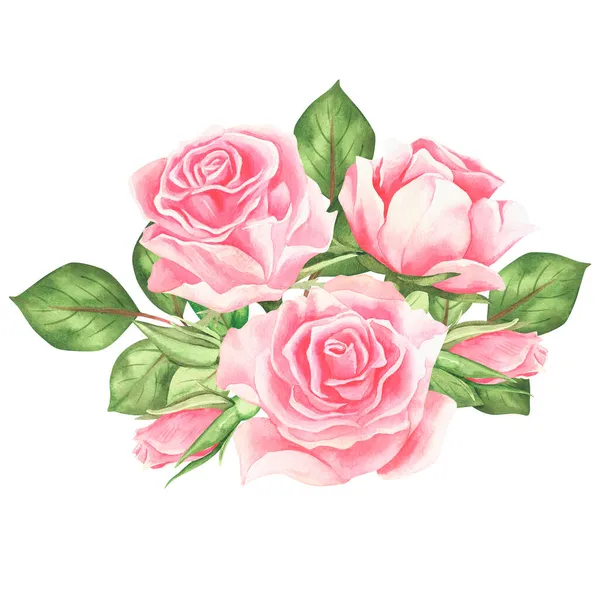 Rosas Rosadas Ilustración Vintage Acuarela Aislado Sobre Fondo Blanco Para —  Fotos de Stock