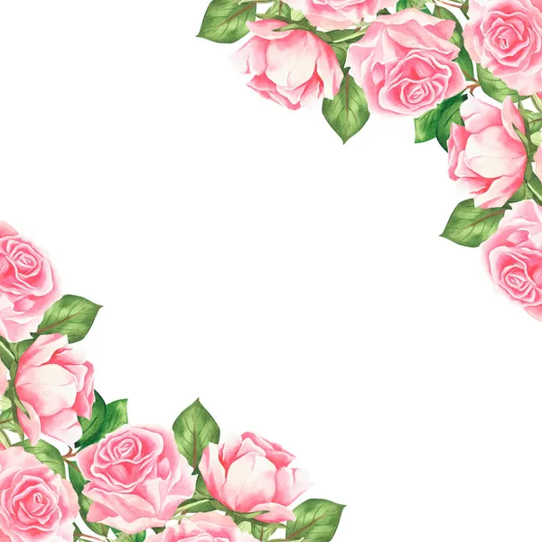 Rosas Cor Rosa Banner Vintage Aquarela Isolado Sobre Fundo Branco — Fotografia de Stock