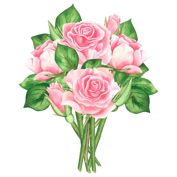 Rosas Rosadas Ilustración Vintage Acuarela Aislado Sobre Fondo Blanco Para — Foto de Stock