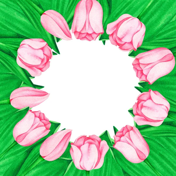 Рамка Рожевих Тюльпанів Акварель Старовинна Ілюстрація Ізольовані Білому Тлі Вашого — стокове фото