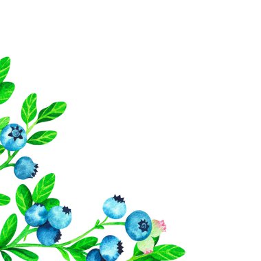 Yabanmersini çerçevesi. Suluboya vintage çizim. Beyaz bir arka planda izole edilmiş. Tasarımın için. Kartpostallar, düğün davetiyeleri, kumaşlar, çıkartmalar, mağaza reklamları için uygun..